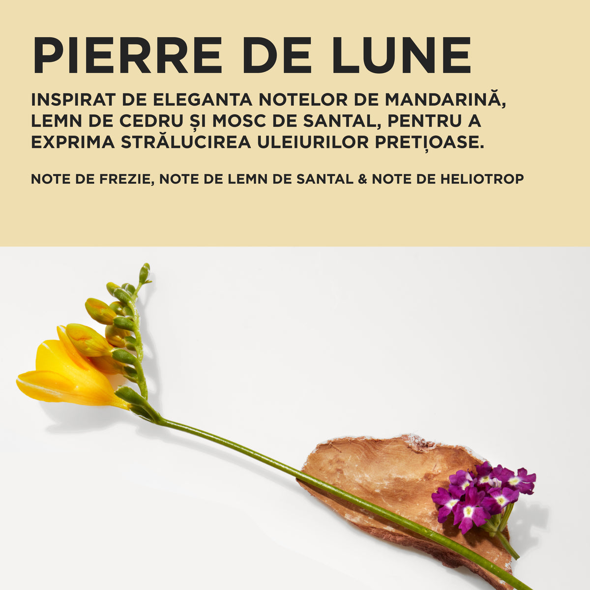 Set Kérastase Elixir Ultime Spring 2026 – Ulei Versatil pentru Strălucire Intensă și Păr Catifelat