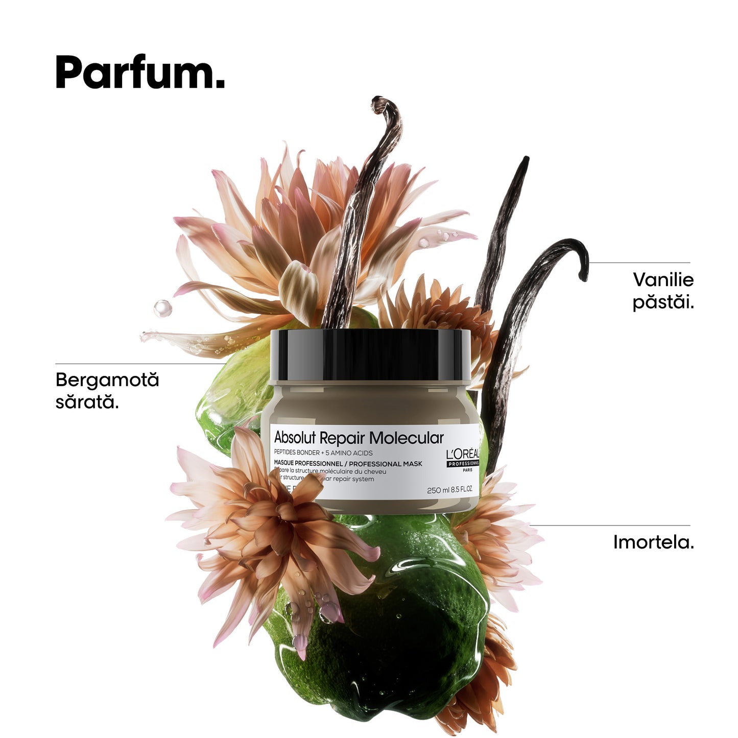 Maszk sérült hajra — L'Oréal Professionnel Absolut Repair Molecular 250ml