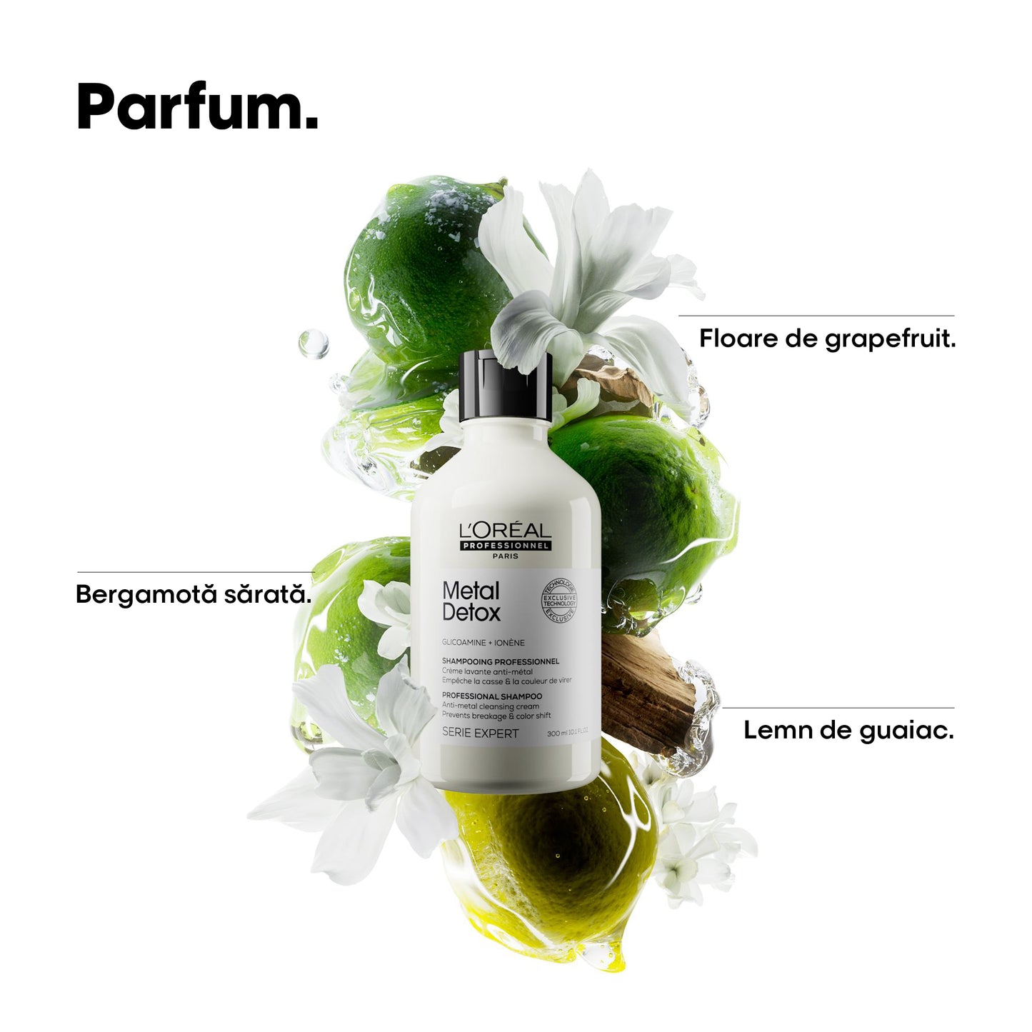 Festett hajra való sampon – L'Oréal Professionnel Metal Detox 500ml