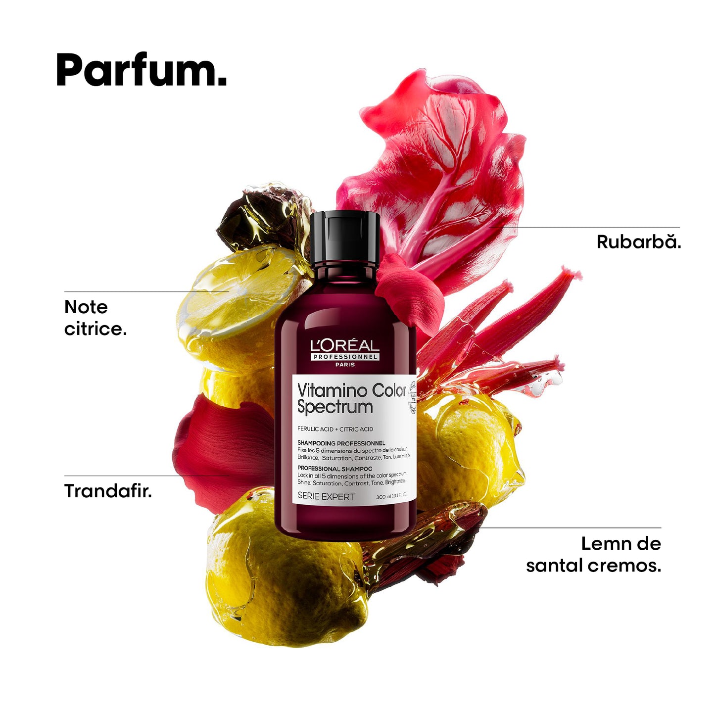 Festett hajra való sampon — L'Oréal Professionnel Vitamino Color Spectrum 300 ml