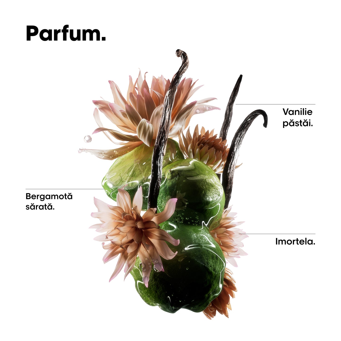 Olaj sérült hajra — L'Oréal Professionnel Absolut Repair Molecular 90ml