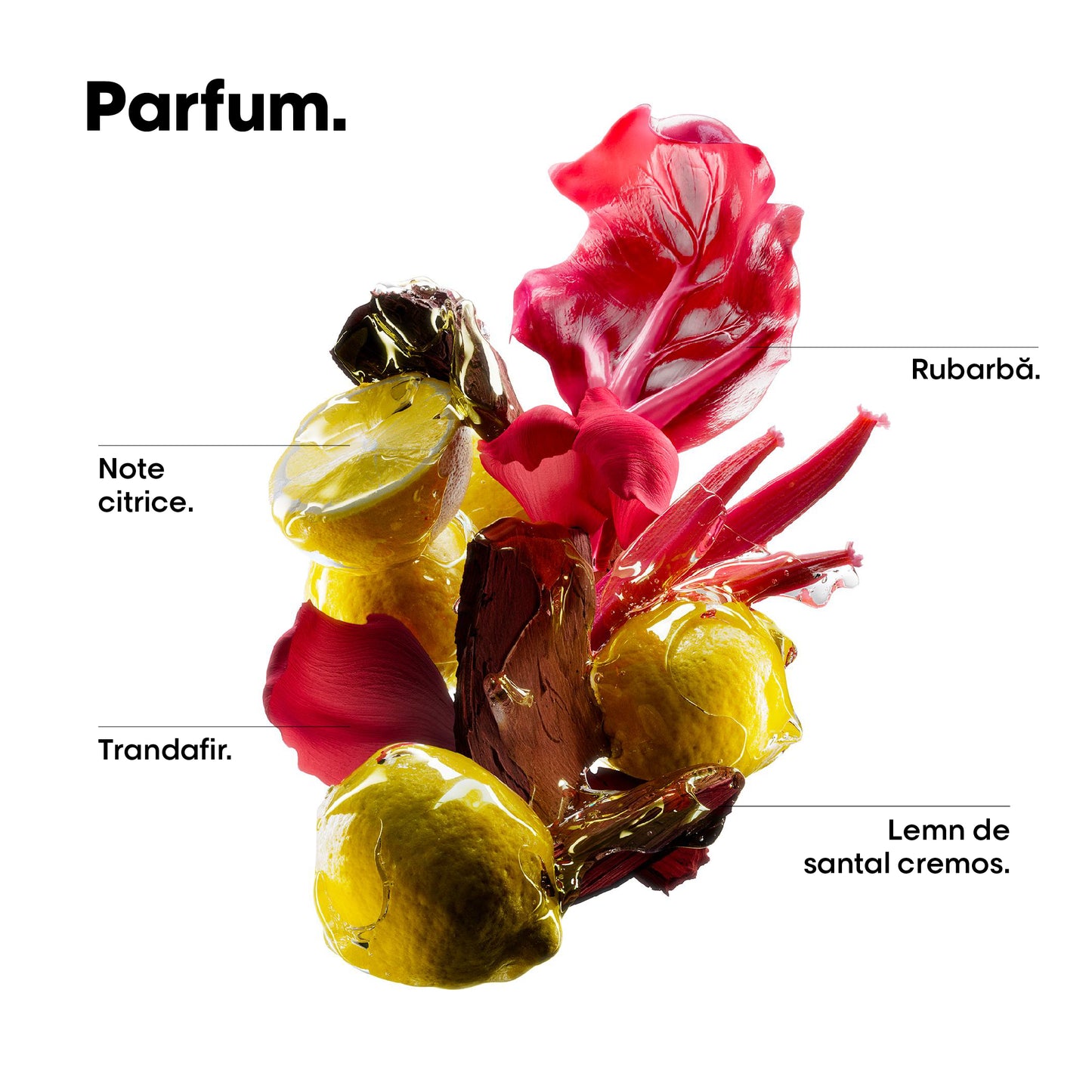Festett hajra való készlet – L'Oréal Professionnel Vitamino Color Spectrum