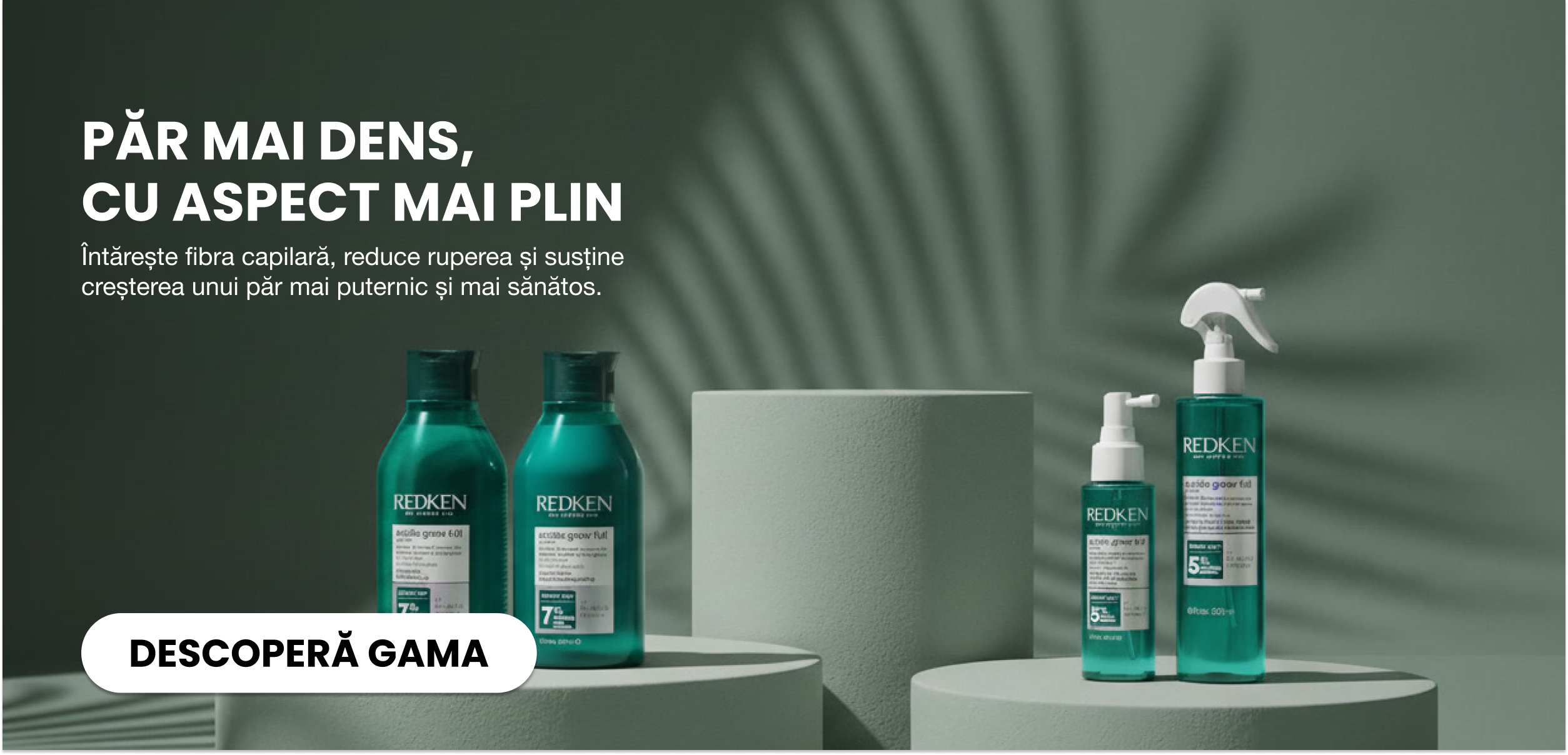 custom-slideshow-image-desktop-block_TkyW7U