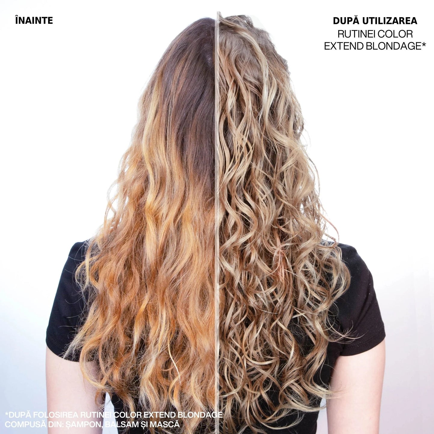 Redken Color Extend Blondage Violet pigment sampon 300ml